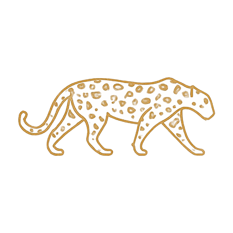 Oráculo Visual del Alma